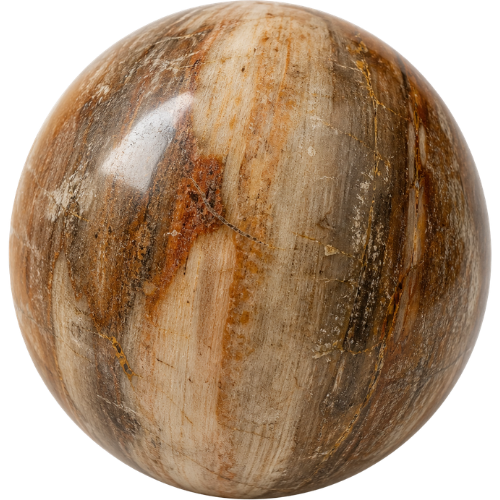 Perle Bois fossilisé