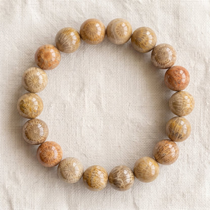 Bracelet en corail fossilisé, perles de 10 mm - visuel provisoire