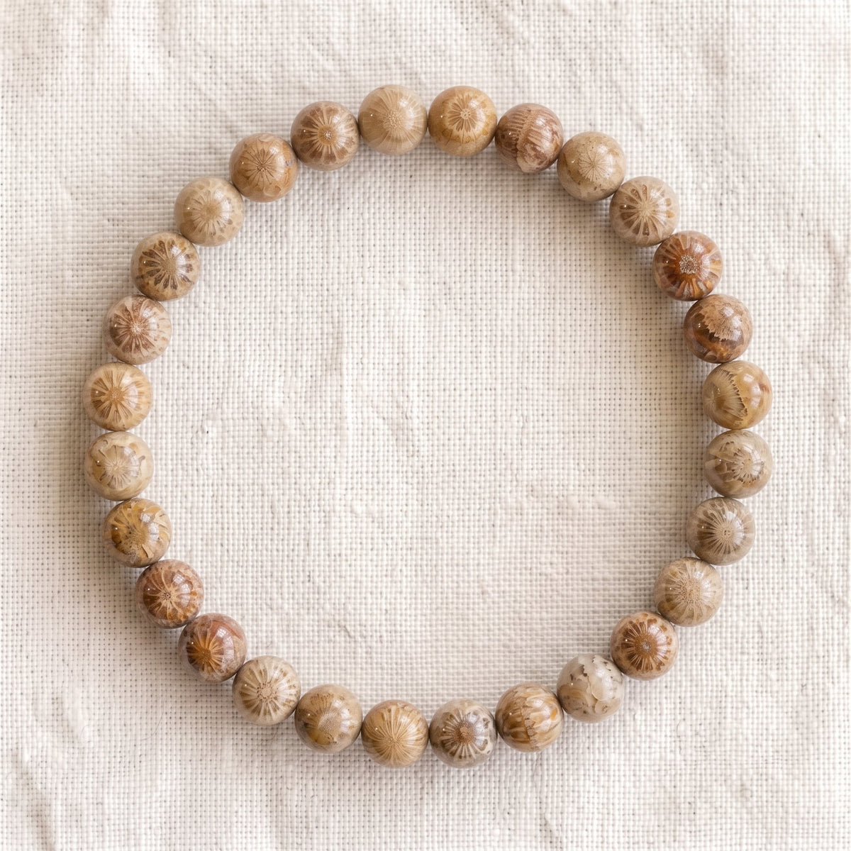 Bracelet en corail fossilisé, perles de 6 mm - visuel provisoire