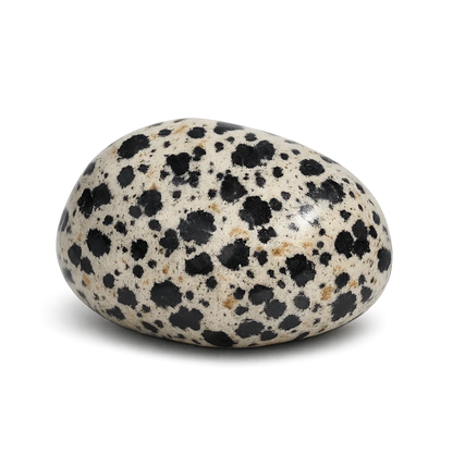Jaspe dalmatien — visuel provisoire (pierre roulée)